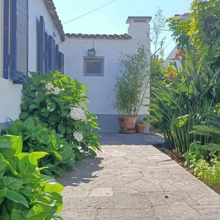 Casa Azores Zen Ribeira Grande Eksteriør bilde