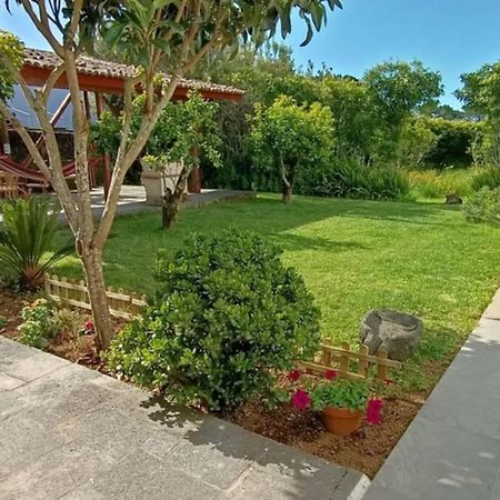 Casa Azores Zen Ribeira Grande Eksteriør bilde