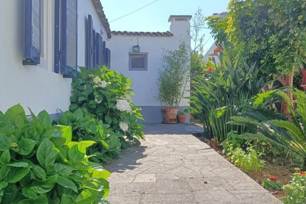 Casa Azores Zen Ribeira Grande Eksteriør bilde