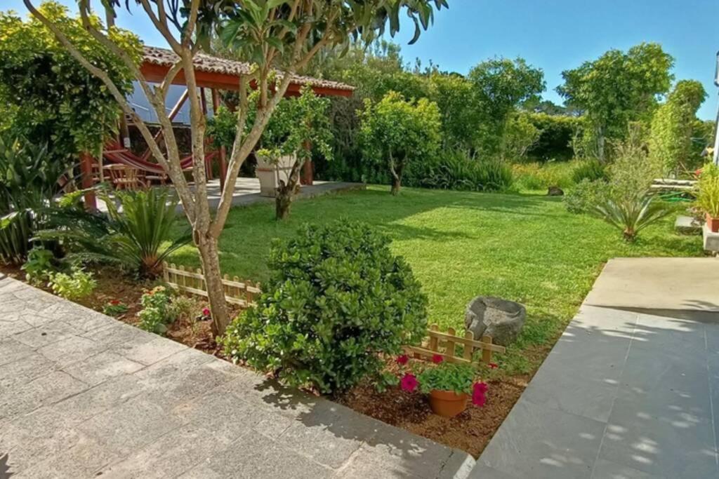 Casa Azores Zen Ribeira Grande Eksteriør bilde